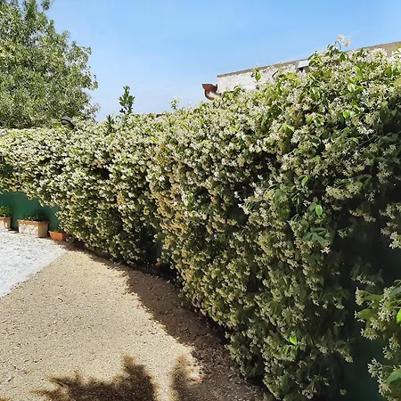 In With Large Terrace And Garden Σπίτι διακοπών Quartu SantʼElena